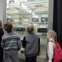 Квест в зоологическом музее для детей